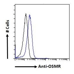 Goat anti-CCL21 Antibody