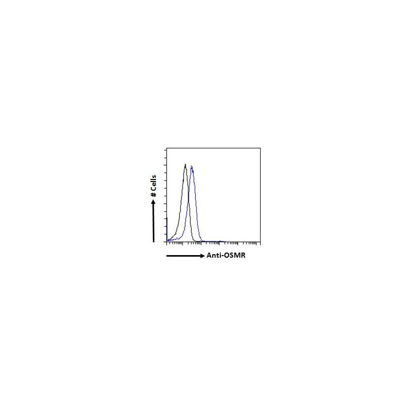 Goat anti-CCL21 Antibody