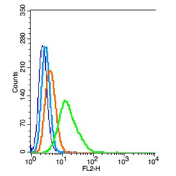E.coli O139 Rabbit Polyclonal Antibody