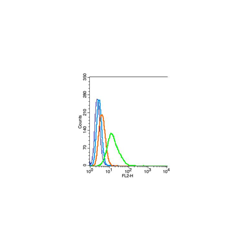 E.coli O139 Rabbit Polyclonal Antibody