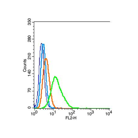 E.coli O139 Rabbit Polyclonal Antibody