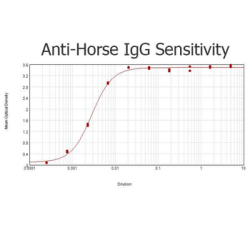 Rabbit Anti-Dog IgG H&L, HRP conjugated