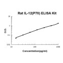 Rat IL-12 (p70) ELISA Kit