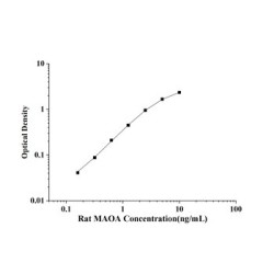 Rat Monoamine oxidase (MAO) ELISA Kit