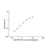 Rat Matrix metalloproteinase-24 (MMP24) ELISA Kit